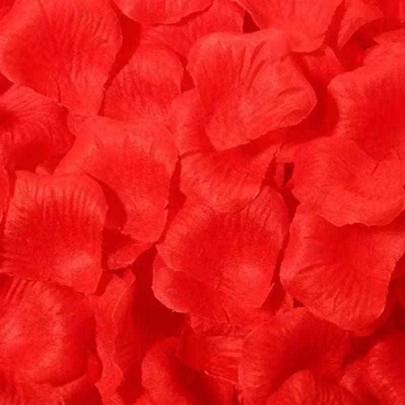 Romantic Red Rose Petals
